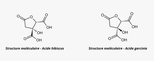 Acide hibiscus et garcinia